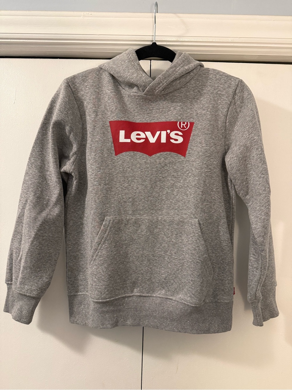 Levi’s Kids Hoodie Sweatshirt, Gray